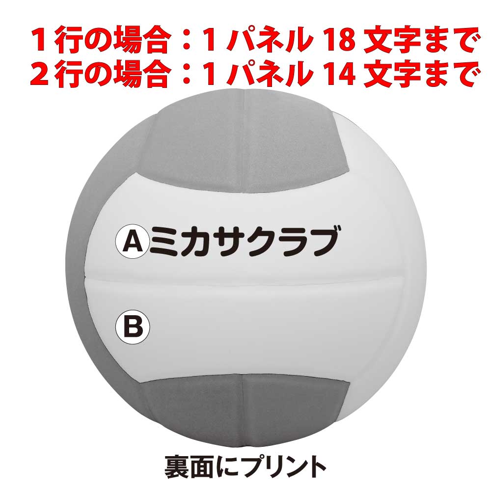 SD20-YBL スマイルドッジボール2号 160g MIKASA オンラインショップ