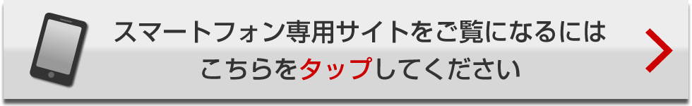 ミカサ公式通販】ソフトバレーボール | MIKASA オンラインショップ